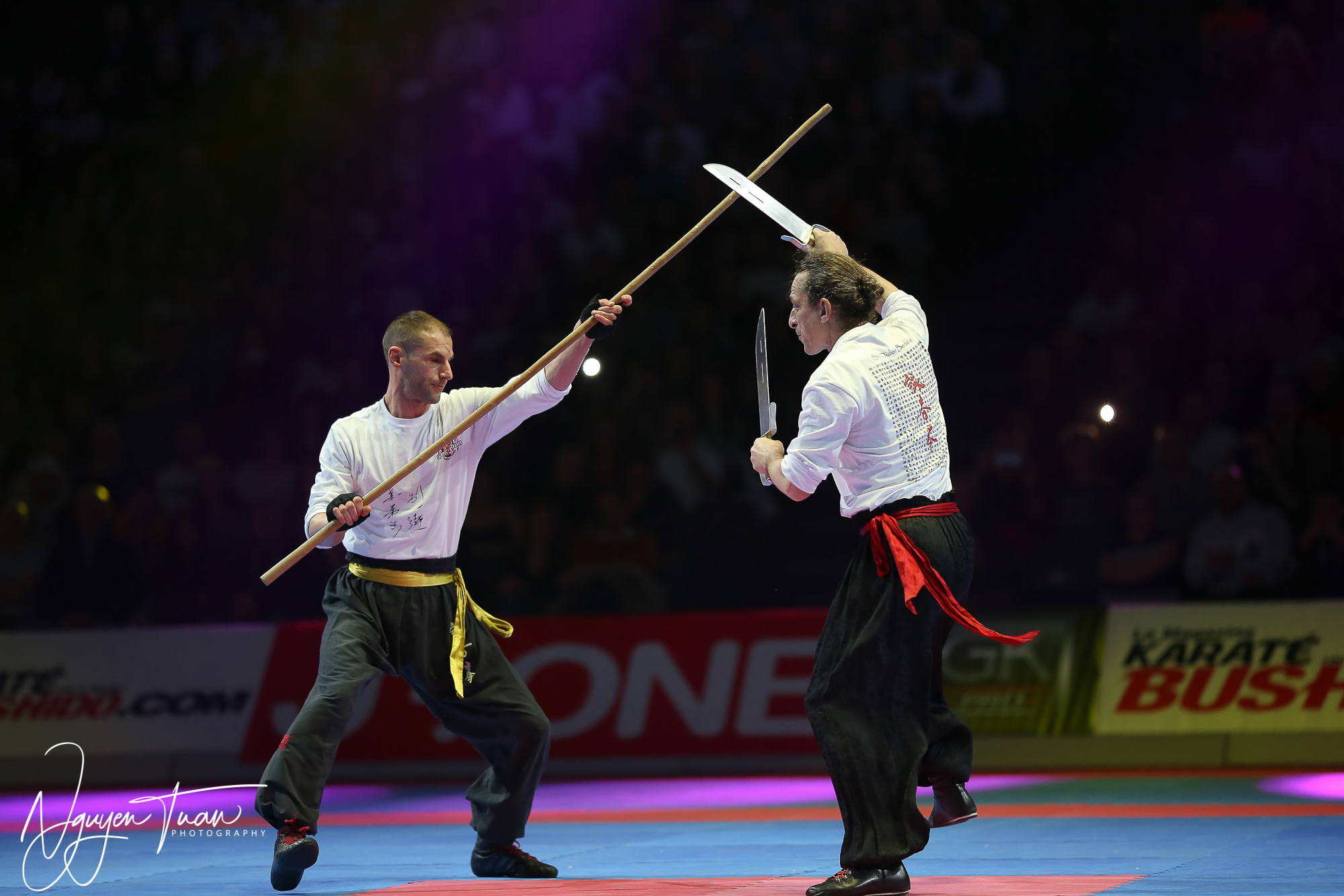 20190324 Festival des Arts Martiaux 3928